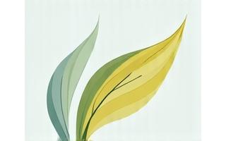 E-Book Cover: Gesund älter werden