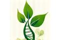 Bio Nutrition Association Logo